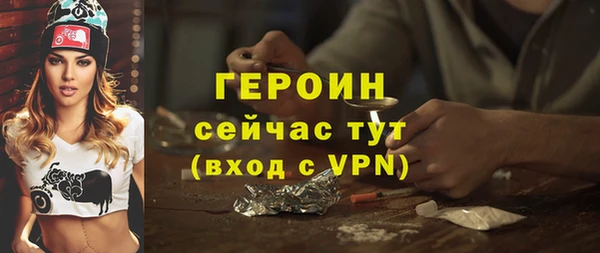 индика Дмитров