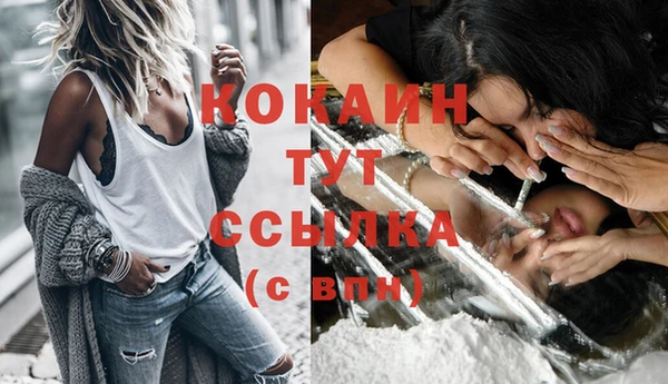 МДПВ Осташков