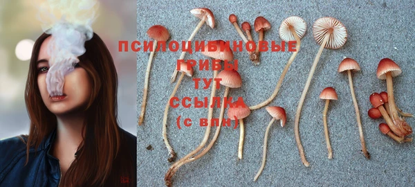 альфа пвп Осинники